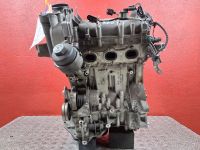 Motor ohne Anbauteile (Benzin) <br>VW POLO IV (9N) 1.2  51 KW  69 PS (05.2007-