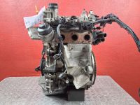 Motor ohne Anbauteile (Benzin) <br>VW FOX SCHR�GHECK (5Z1, 5Z3, 5Z4) 1.2