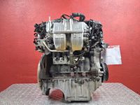 Motor ohne Anbauteile (Benzin) <br>OPEL ASTRA H (A04) 1.6