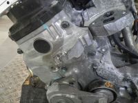 Motor ohne Anbauteile (Benzin) <br>HONDA Jazz III (GE) 1.2