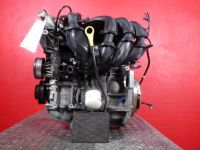 Motor ohne Anbauteile (Benzin) Mit Kompressionsbild<br>FORD Fusion JU2
