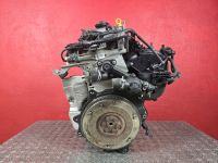 Motor ohne Anbauteile (Benzin) <br>VOLKSWAGEN POLO 9N