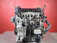 Motor ohne Anbauteile (Benzin) <br>AUDI A3 (8L) 1.6