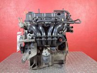 Motor ohne Anbauteile (Benzin) <br>FORD FIESTA JD3