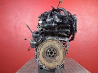Motor ohne Anbauteile (Diesel) <br>FORD FOCUS II TURNIER (DA3) 1.6 TDCI  80 KW