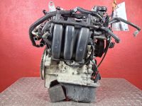 Motor ohne Anbauteile (Benzin) <br>VW POLO (9A, 9N) 1.2 12V