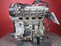 Motor ohne Anbauteile (Benzin) <br>SKODA FABIA II (542) 1.4