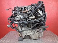 Motor ohne Anbauteile (Diesel) <br>PEUGEOT PARTNER KASTEN/GRO�RAUMLIMOUSINE (K9) 1.