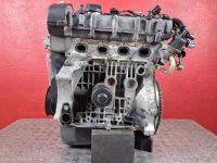 Motor ohne Anbauteile (Benzin) <br>SEAT IBIZA III (6L1) 1.4 16V