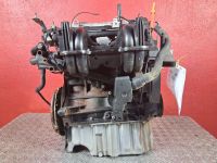 Motor ohne Anbauteile (Benzin) <br>SKODA OCTAVIA I (1U2) 1.6