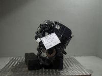 Motor ohne Anbauteile (Benzin) <br>FORD Focus (DAW, DBW) 1.8