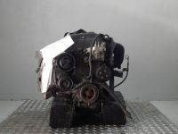 Motor ohne Anbauteile (Benzin) <br>FORD Fiesta IV (JA, JB) 1.25 i 16V